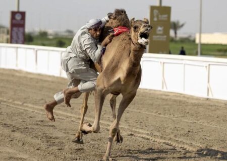 بازی هندبال روی شتر برای نخستین بار در قطر