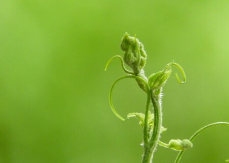 چگونه مالی احیاکننده پایداری را برای کریپتو به ارمغان می آورد