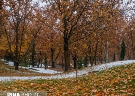 تصاویری دلربا از تهران، غرق برگ و برف