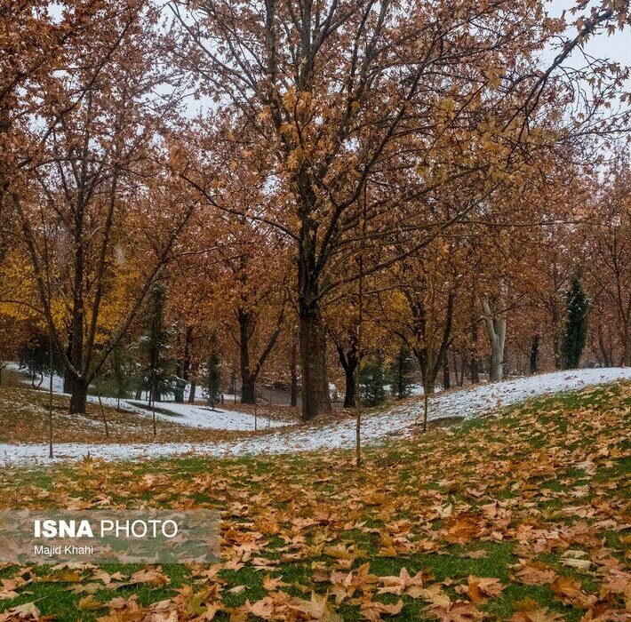 تصاویری دلربا از تهران، غرق برگ و برف