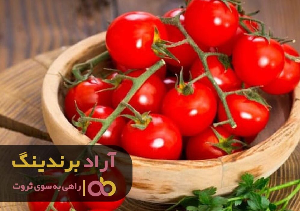 تعهد کاری من زمینه رسیدن به موفقیت و ثروت را فراهم کرد