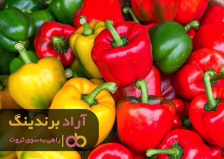 سرمایه داری زندگی با نشاطی به من داد