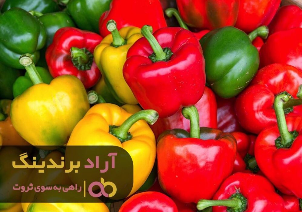 سرمایه داری زندگی با نشاطی به من داد