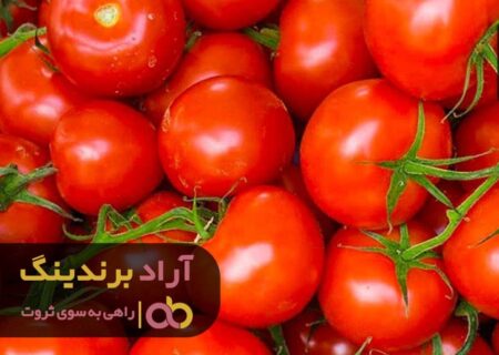 یک استراتژی عالی موجب شد در همه جای پیرامون خودم ثروت ببینم