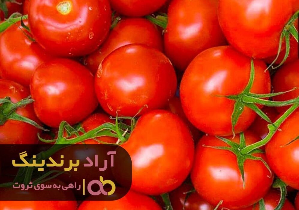 یک استراتژی عالی موجب شد در همه جای پیرامون خودم ثروت ببینم