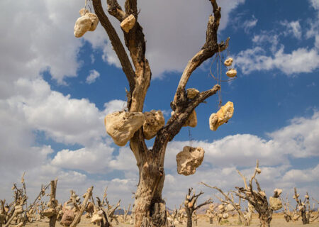 جاهای باورنکردنی ایران