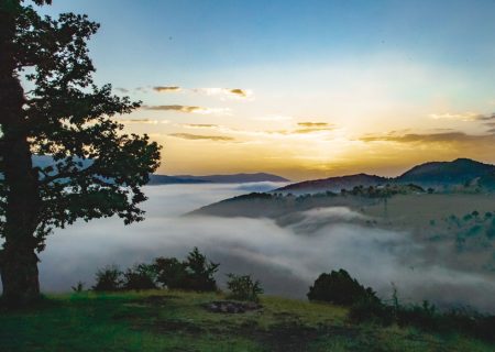 جاهای دیدنی سمنان | تجربه همزمان کویر و جنگل!