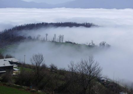 جنگل ابر شاهرود | راهنمای سفر + راه های دسترسی