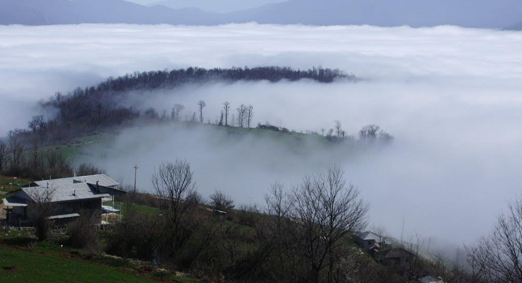 جنگل ابر شاهرود | راهنمای سفر + راه های دسترسی