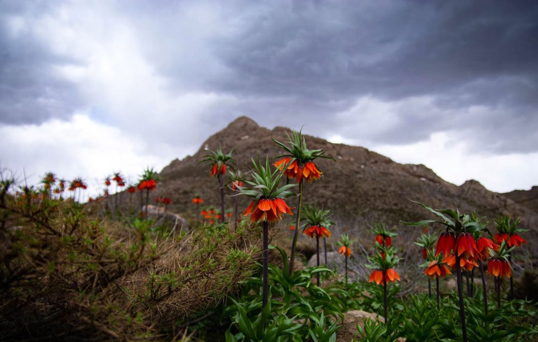 صدای آب و پرنده را از جاهای دیدنی خوانسار بشنوید