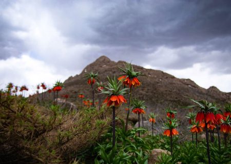 صدای آب و پرنده را از جاهای دیدنی خوانسار بشنوید