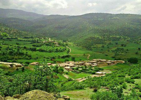 راهنمای سفر به الیگودرز و تماشای لاله‌های واژگون