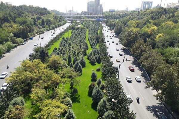 سهم ۹ میلیونی کرمانشاه در طرح مردمی کاشت یک میلیارد نهال در کشور – خبرگزاری مهر | اخبار ایران و جهان