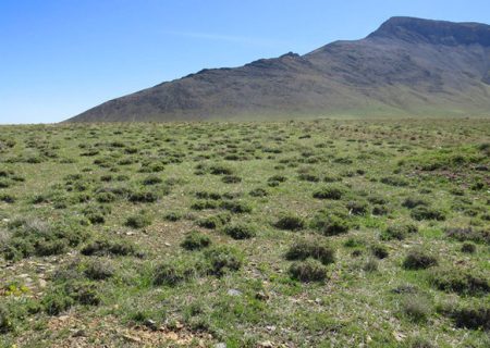 اغلب زمین‌ها در استان زنجان مرتع است