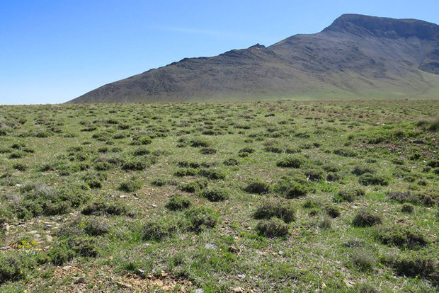 اغلب زمین‌ها در استان زنجان مرتع است