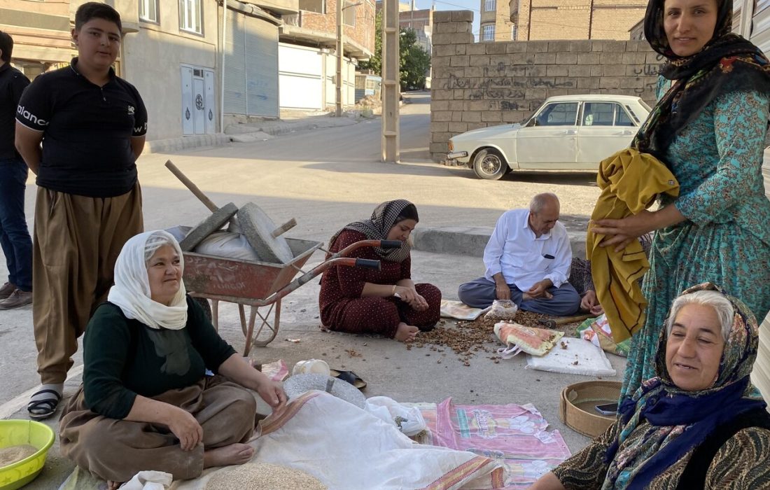 پایان آرام تعطیلات در سقز/ تیر ضدانقلاب باز هم به سنگ خورد – خبرگزاری مهر | اخبار ایران و جهان