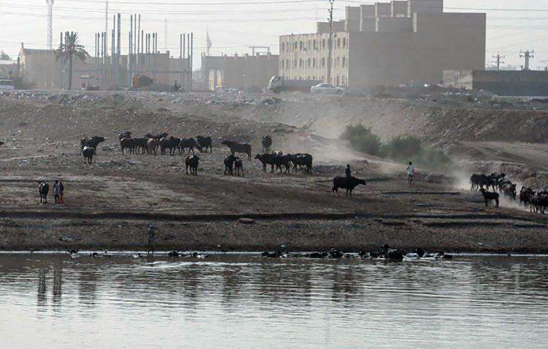 خوزستان مملو از دود است / تداوم آتش سوزی در بخش عراقی تالاب هورالعظیم + فیلم و تصاویر