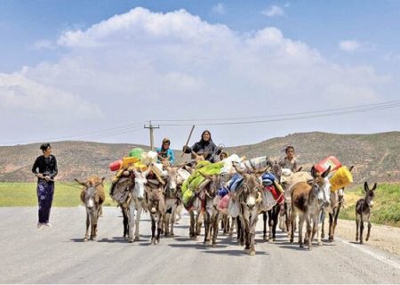 ۵۰ درصد عشایر اردبیل ترک دامداری کردند – خبرگزاری مهر | اخبار ایران و جهان