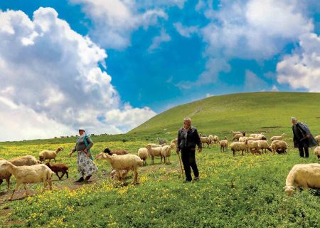 «قوز» جریمه بانکی عشایر «بالای قوز» خشکسالی – خبرگزاری مهر | اخبار ایران و جهان