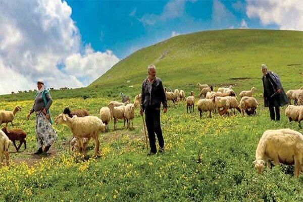 دونده ها بر گردن عشایر;  زمانی که بازاری برای فروش محصولات وجود ندارد