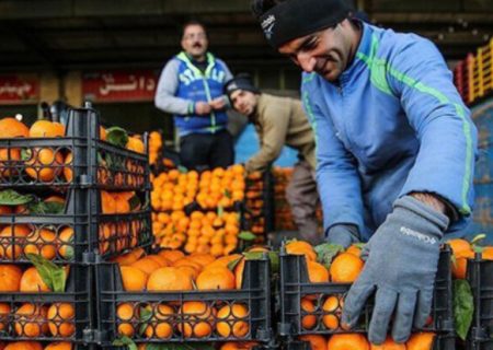 ایران؛ نهمین تولید کننده پرتقال در ۲۰۲۲| فرانسه، آلمان و هلند؛ بزرگترین واردکنندگان