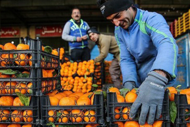 ایران؛ نهمین تولید کننده پرتقال در ۲۰۲۲| فرانسه، آلمان و هلند؛ بزرگترین واردکنندگان