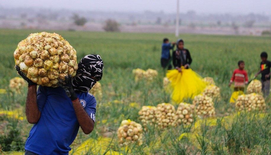 همایش فرصت های سرمایه گذاری کشاورزی در استان همدان برگزار می شود