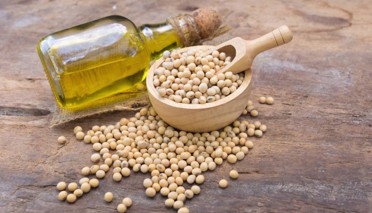 روغن سویا؛  خواص، معایب و مقایسه آن با روغن های دیگر.