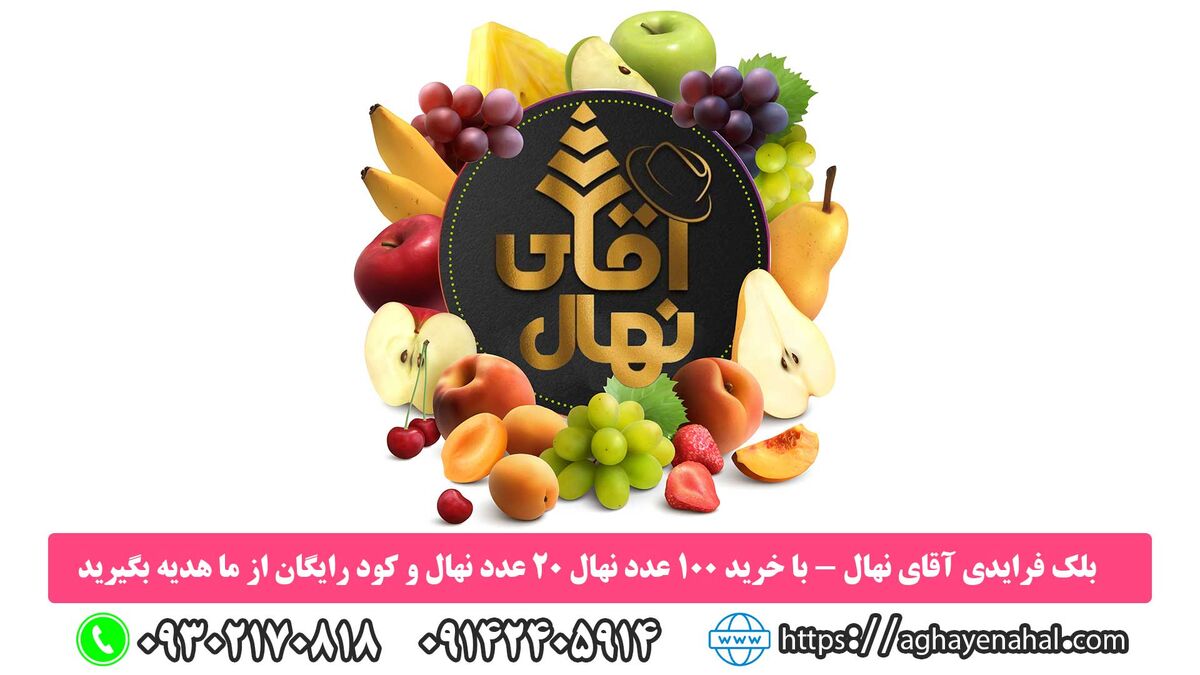 با خرید هر 100 اصله نهال 20 نهال و یک بسته کود رایگان از آقای نهال دریافت خواهید کرد.