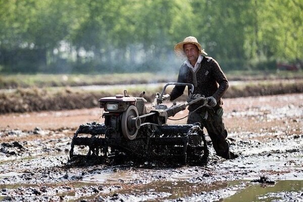 شخم زمستانی بهترین فرصت برای حفظ منابع آبی است – خبرگزاری مهر اخبار ایران و جهان