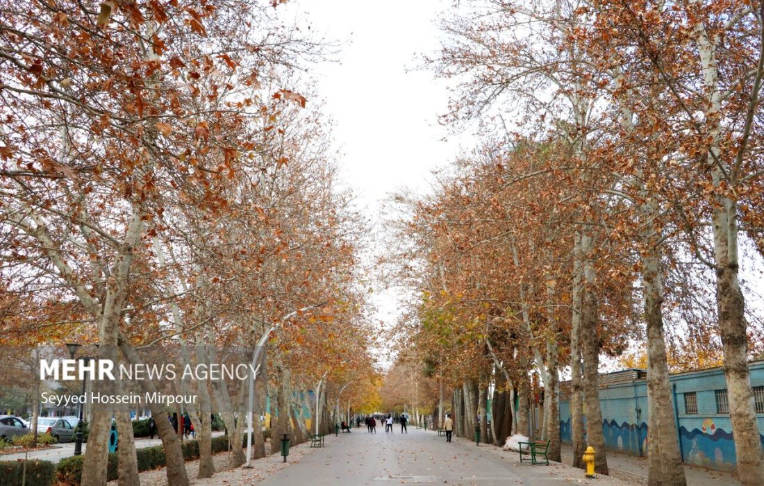 کاهش دمای هوا در خراسان رضوی/ ورود سامانه بارشی به استان – خبرگزاری مهر اخبار ایران و جهان