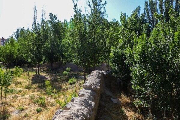 باغشهر ایران دوباره احیا می شود