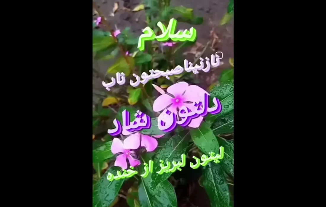 فال روزانه 14 فروردین 1403 + فیلم