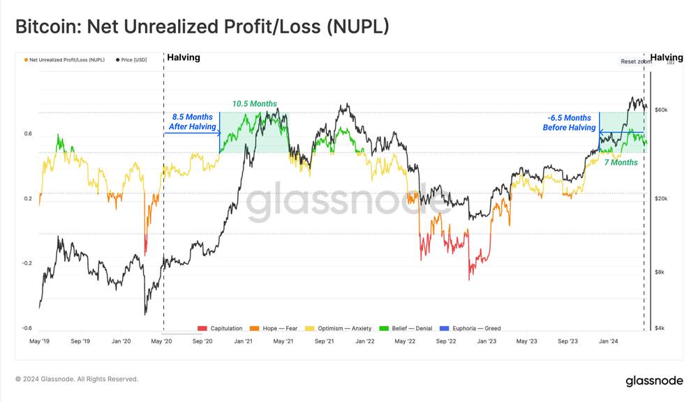 نمودار شاخص NUPL - منبع: Glassnode