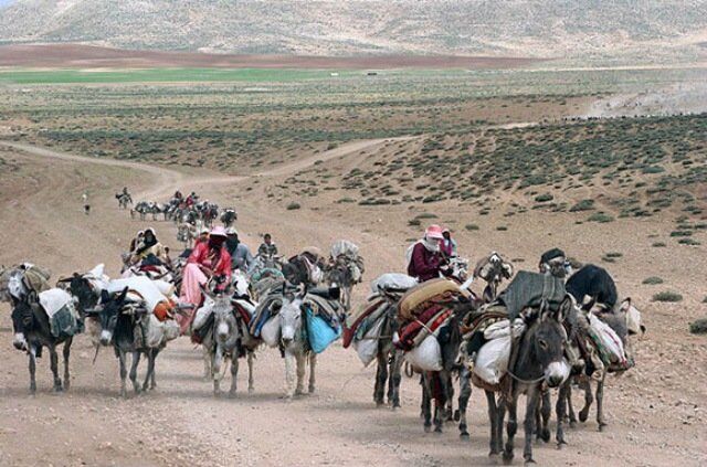 روستای علمکندی از روستاهای پایلوت گردشگری محسوب می شود.