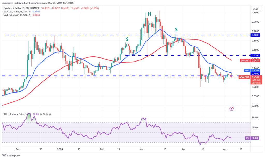 نمودار قیمت روزانه کاردانو - منبع: TradingView