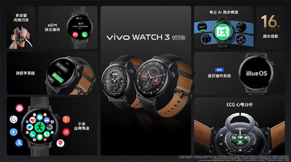 ECG Vivo Watch 3