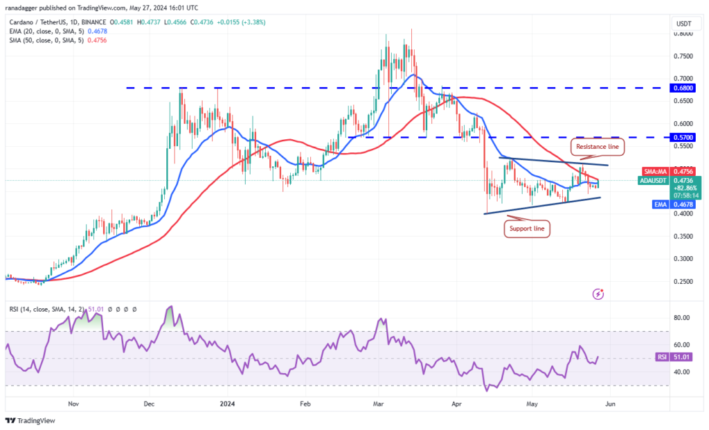 نمودار قیمت روزانه کاردانو - منبع: TradingView