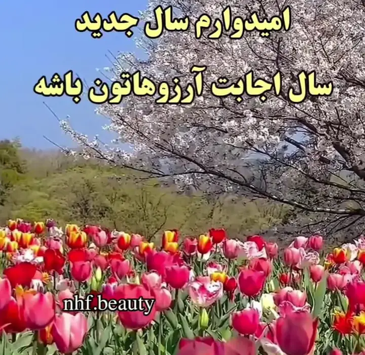 فال روزانه 26 اردیبهشت + فیلم