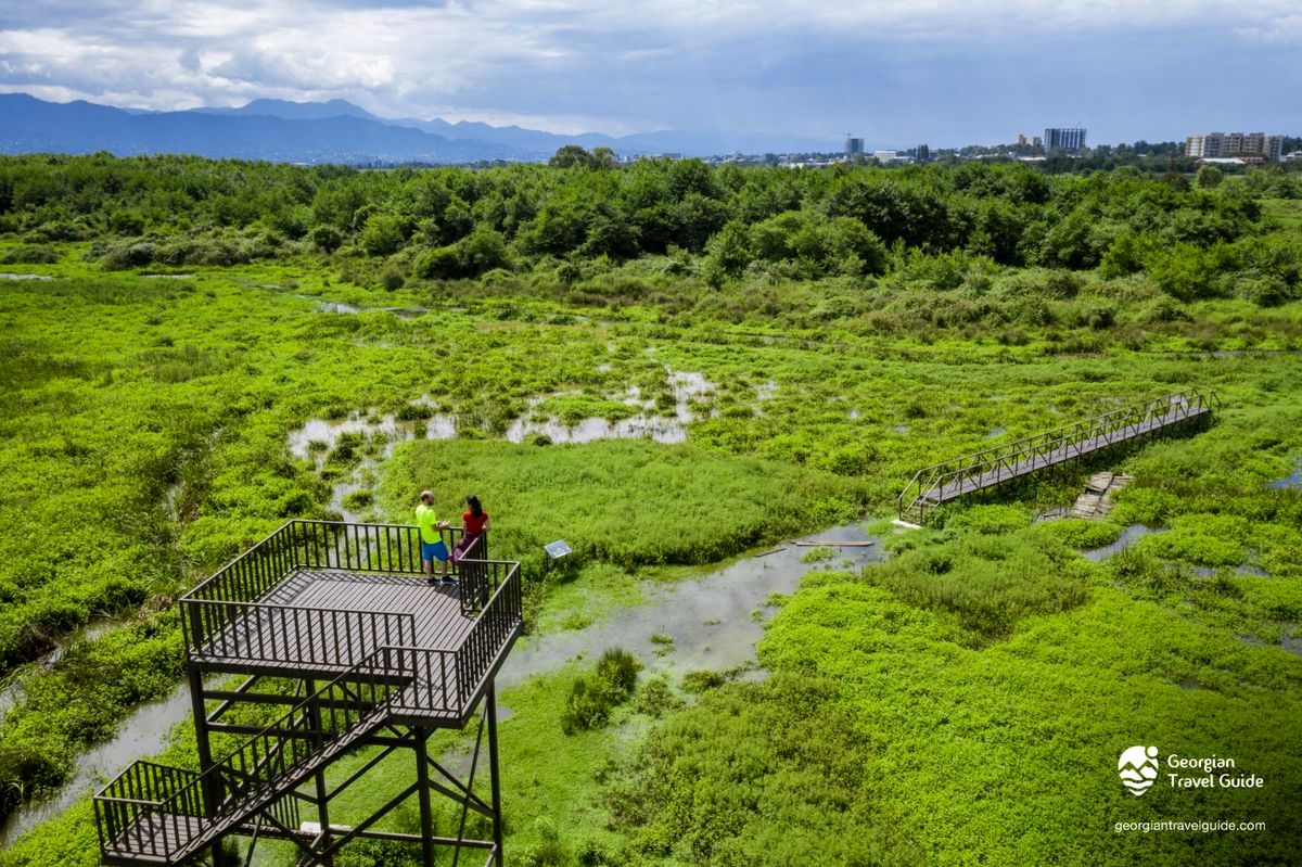 kobuleti-erovnuli-parki-national-park