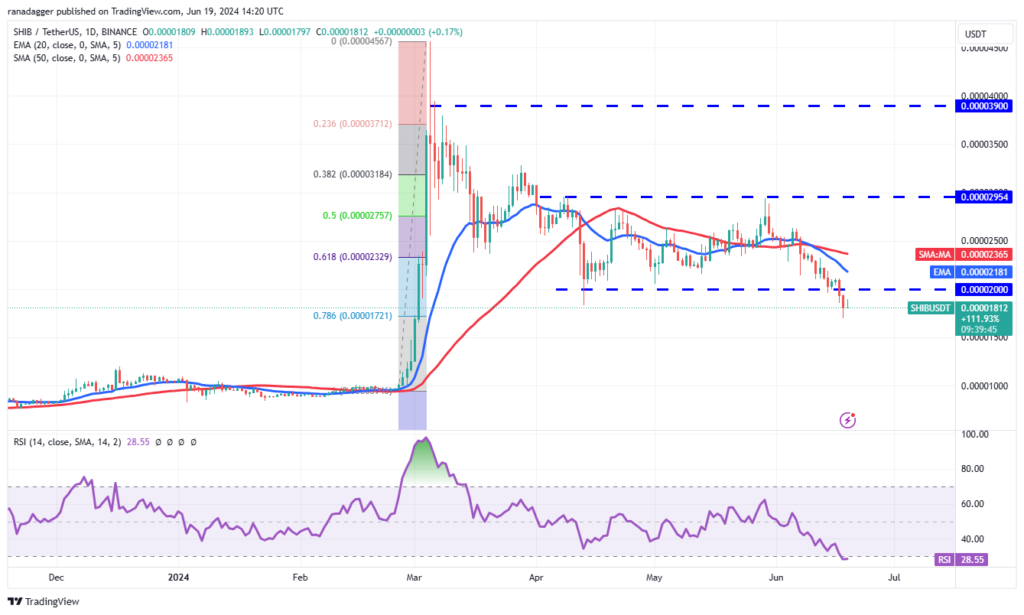 نمودار شیبا اینو تایم فریم 1 روز - منبع: TradingView