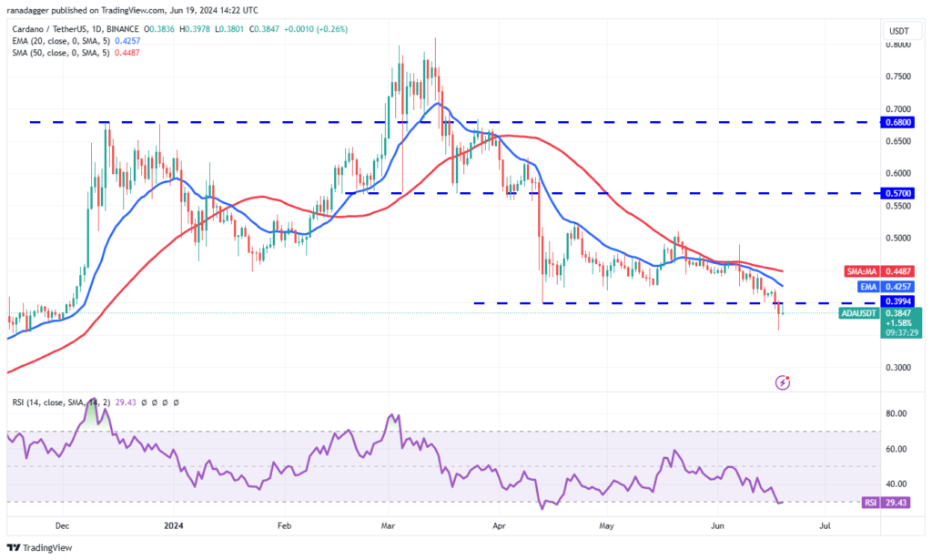 نمودار فریم زمانی 1 روز کاردانو - منبع: TradingView