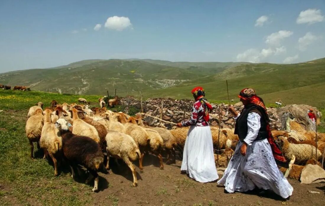 صدای تولیدی در مناطق عشایری ایلام مزایای کارگری باید پرداخت شود.