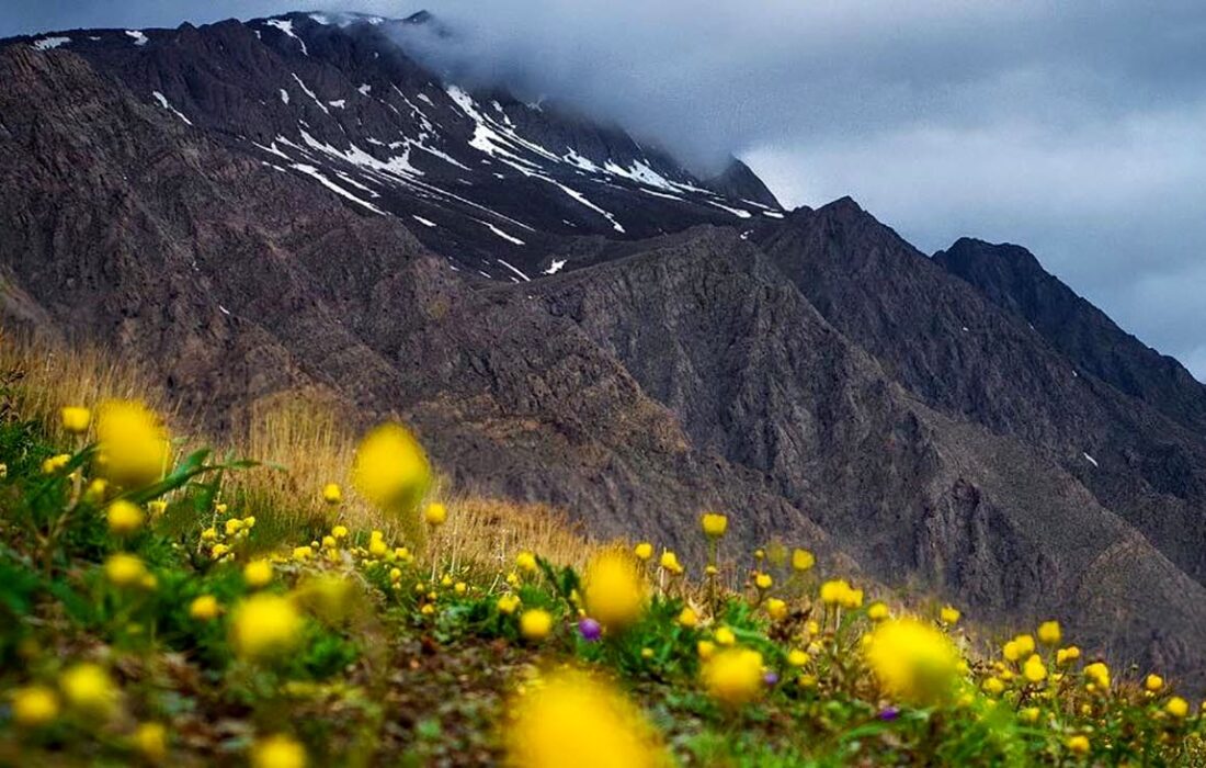 طالع بینی و طالع بینی امروز 23 خرداد