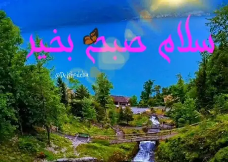 فال امروز 29 خرداد + فیلم