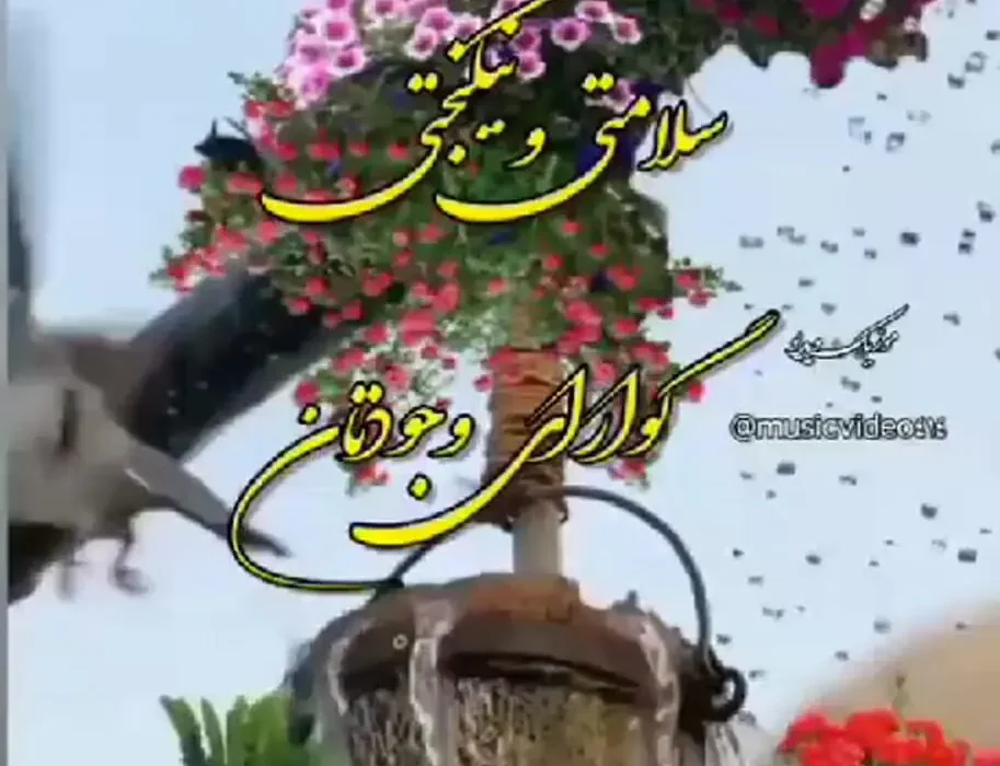 فال روزانه 6 شهریور / فیلم