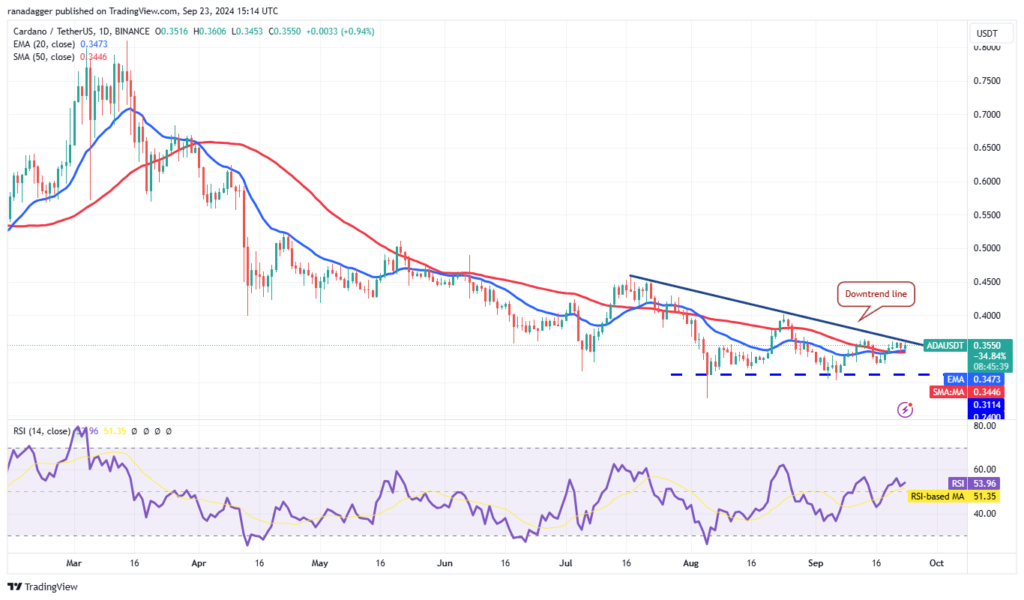 نمودار قیمت روزانه کاردانو - منبع: TradingView