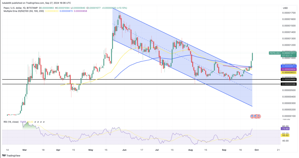 نمودار قیمت روزانه PEPE - منبع: TradingView