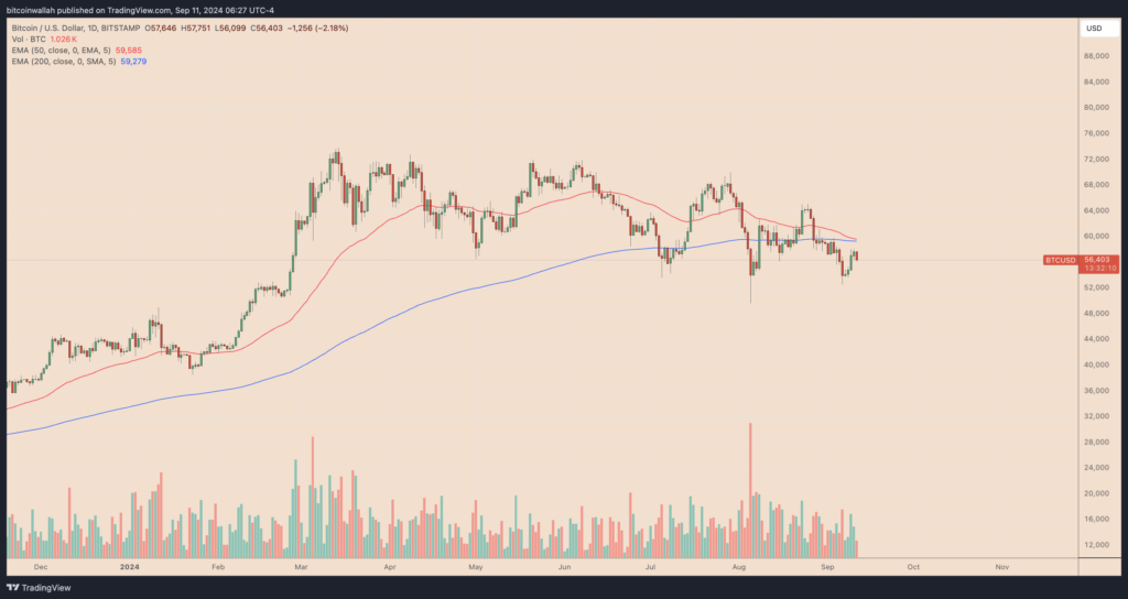 نمودار بیت کوین 1 روزه تایم فریم - منبع: TradingView