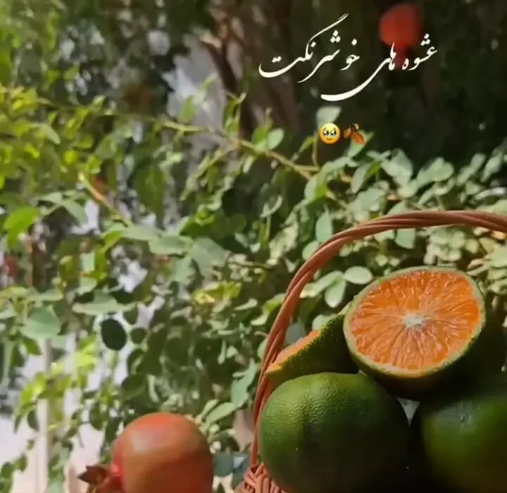 فال و طالع بینی امروز 9 مهر + فیلم